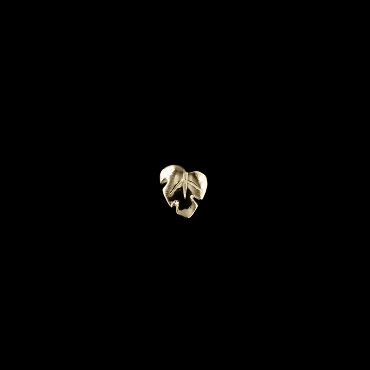 Baroness Monstera