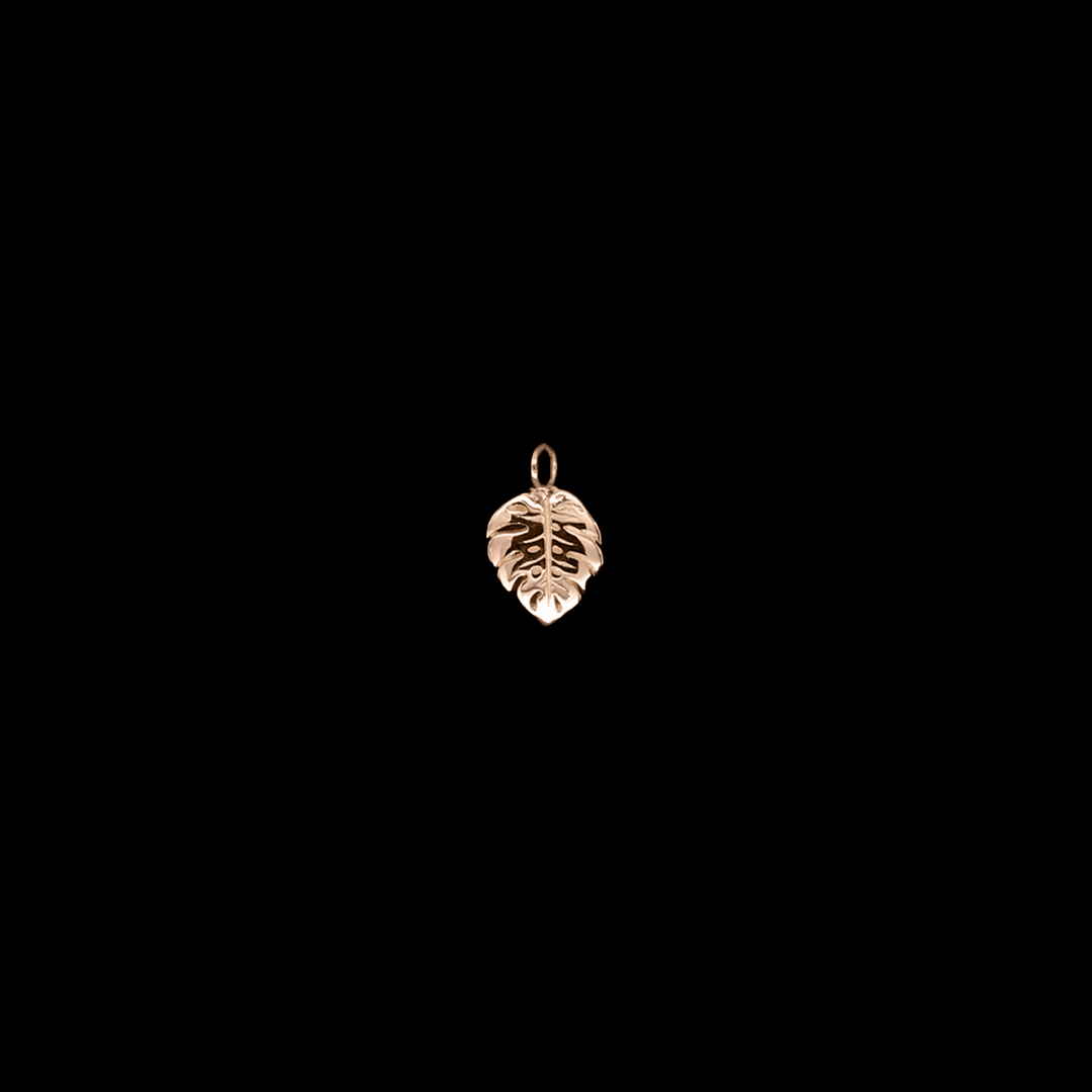 Duchess Monstera Charm