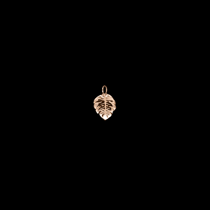 Duchess Monstera Charm