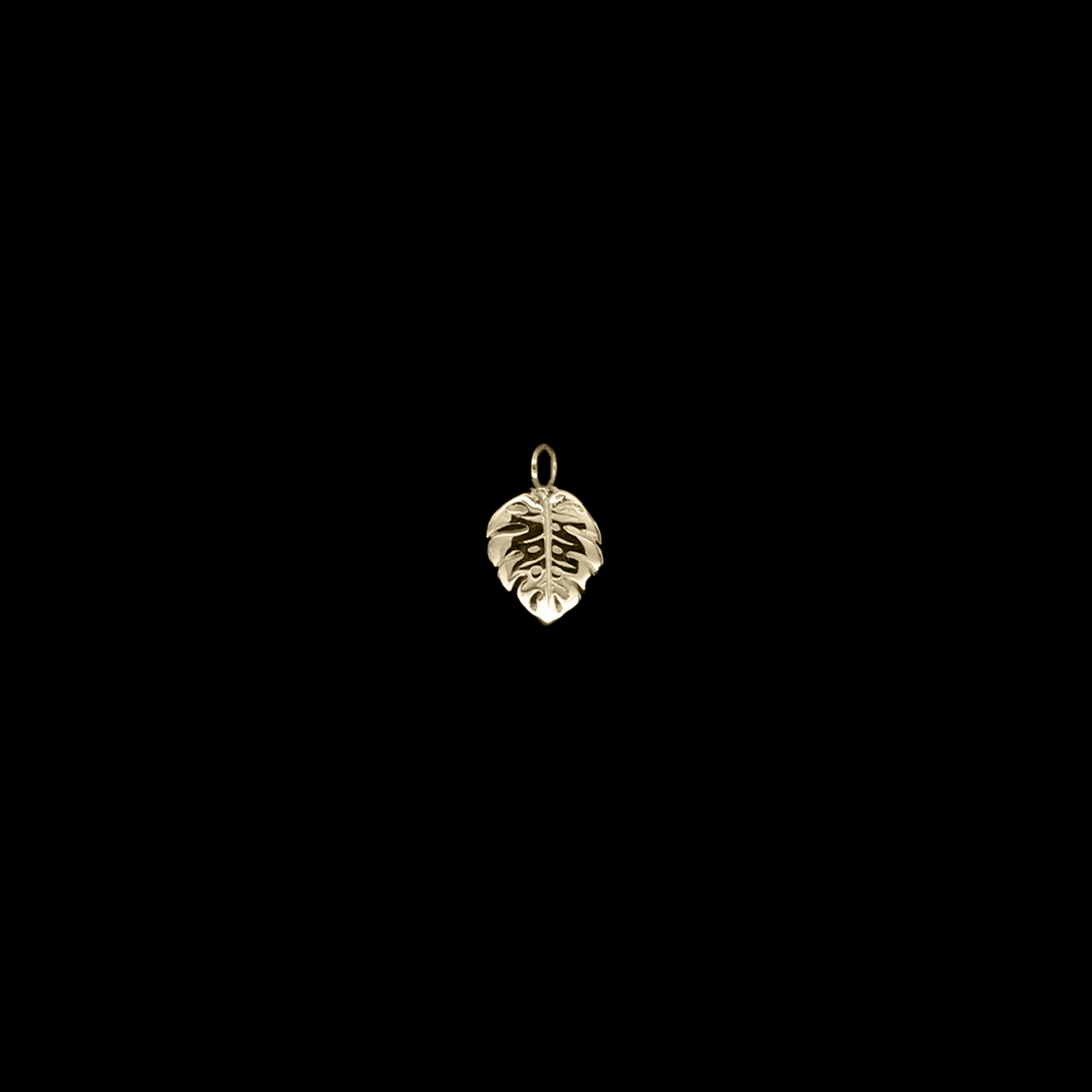 Duchess Monstera Charm