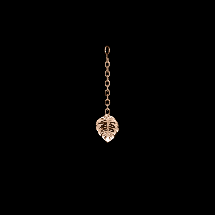 Duchess Monstera Charm