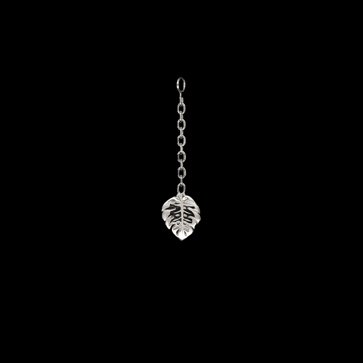Duchess Monstera Charm