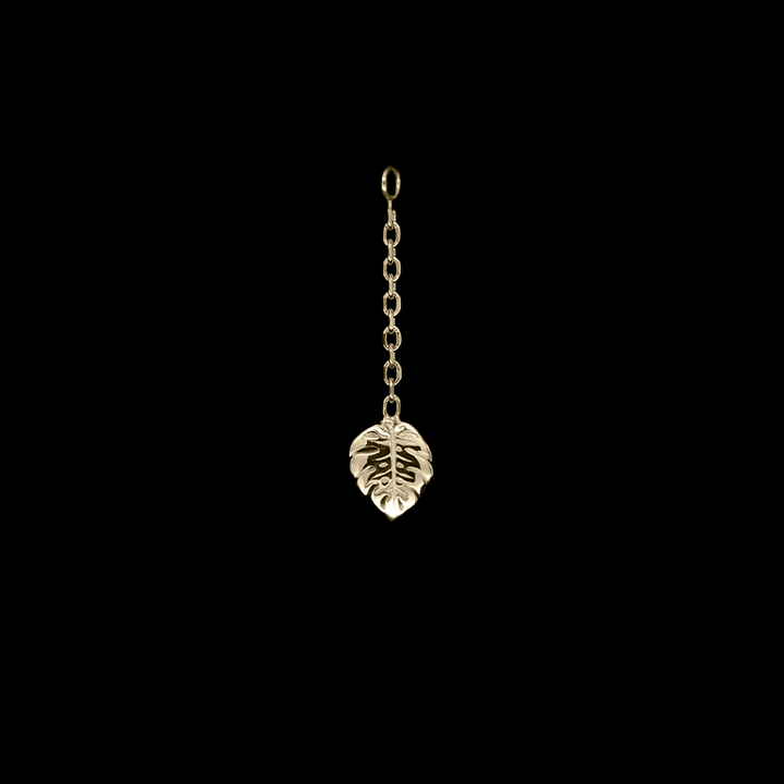 Duchess Monstera Charm