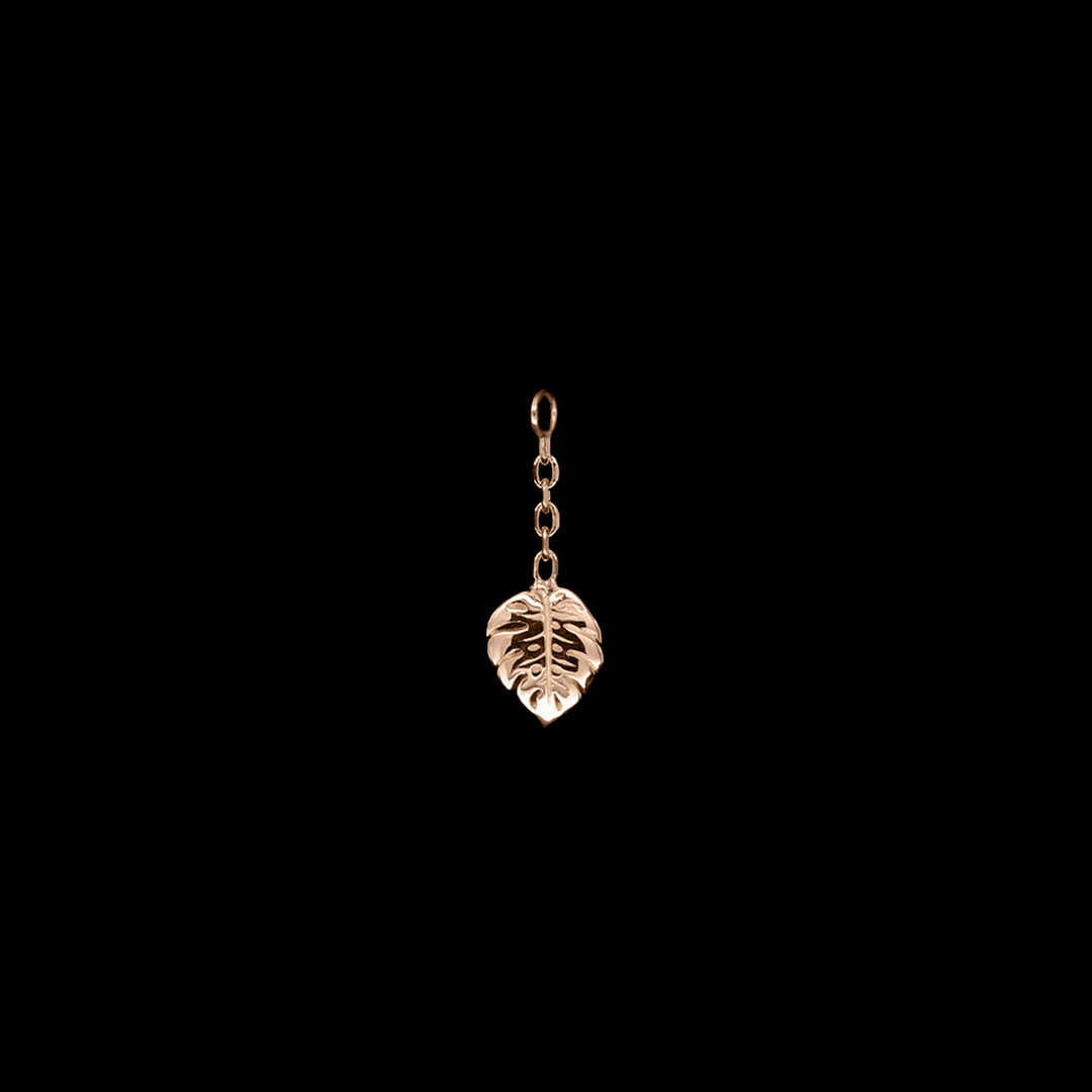Duchess Monstera Charm