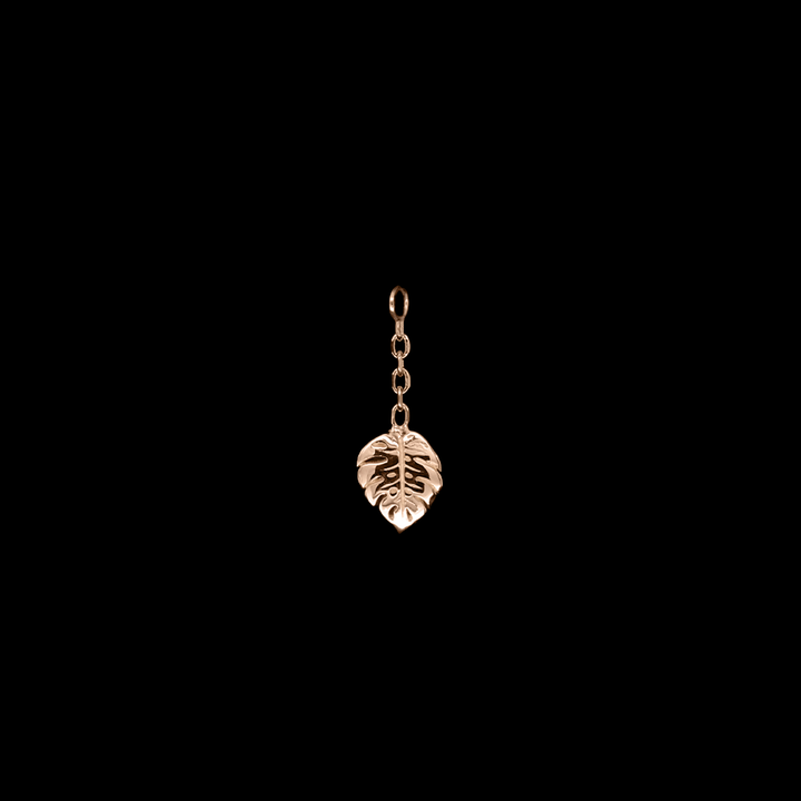 Duchess Monstera Charm