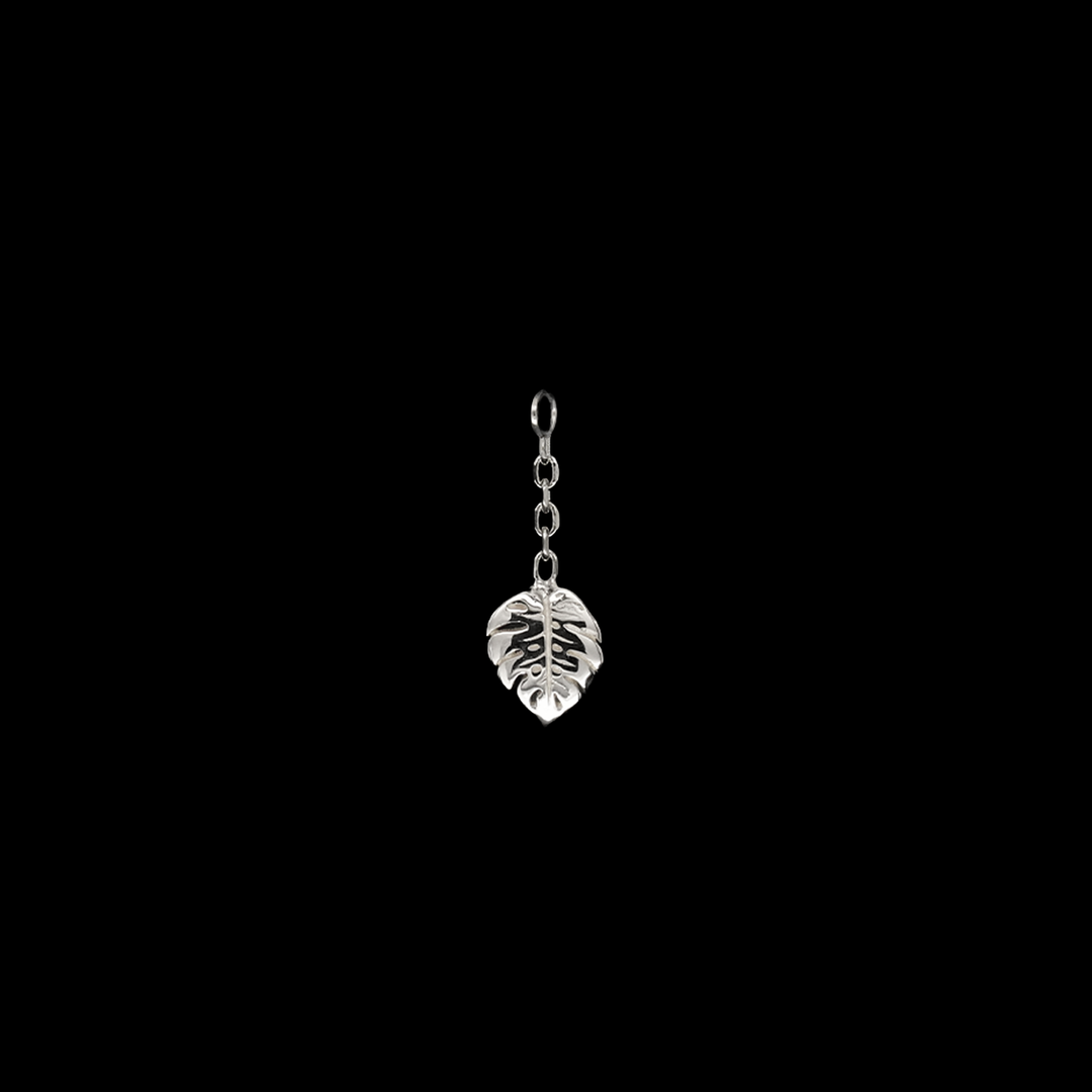 Duchess Monstera Charm