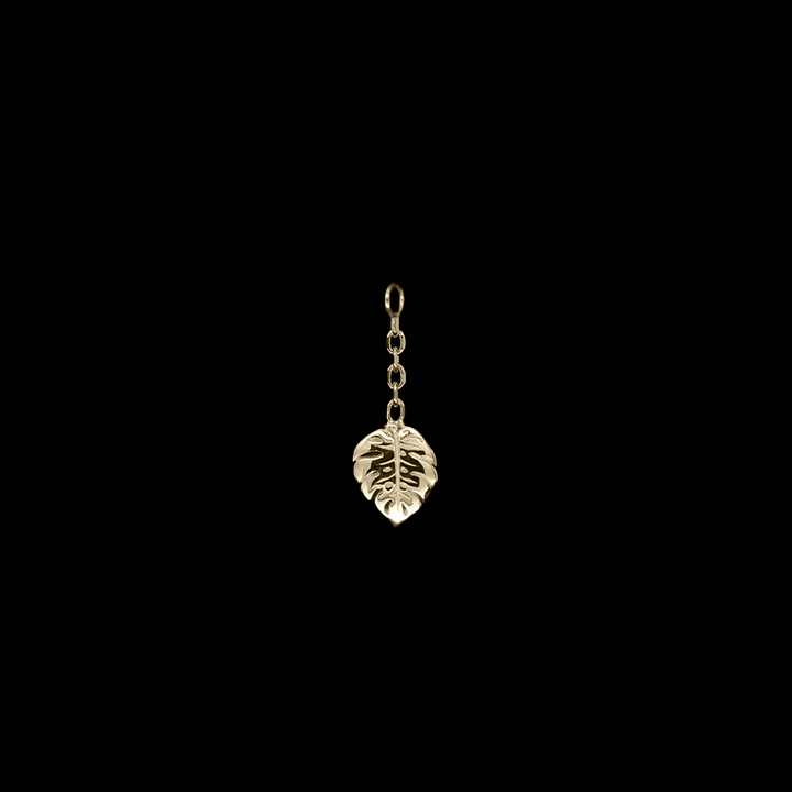 Duchess Monstera Charm