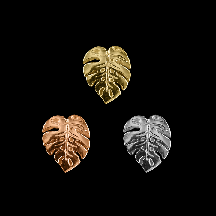 Duchess Monstera