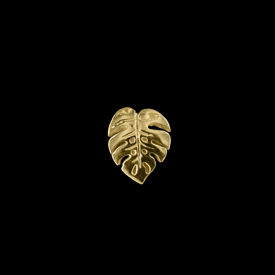 Duchess Monstera